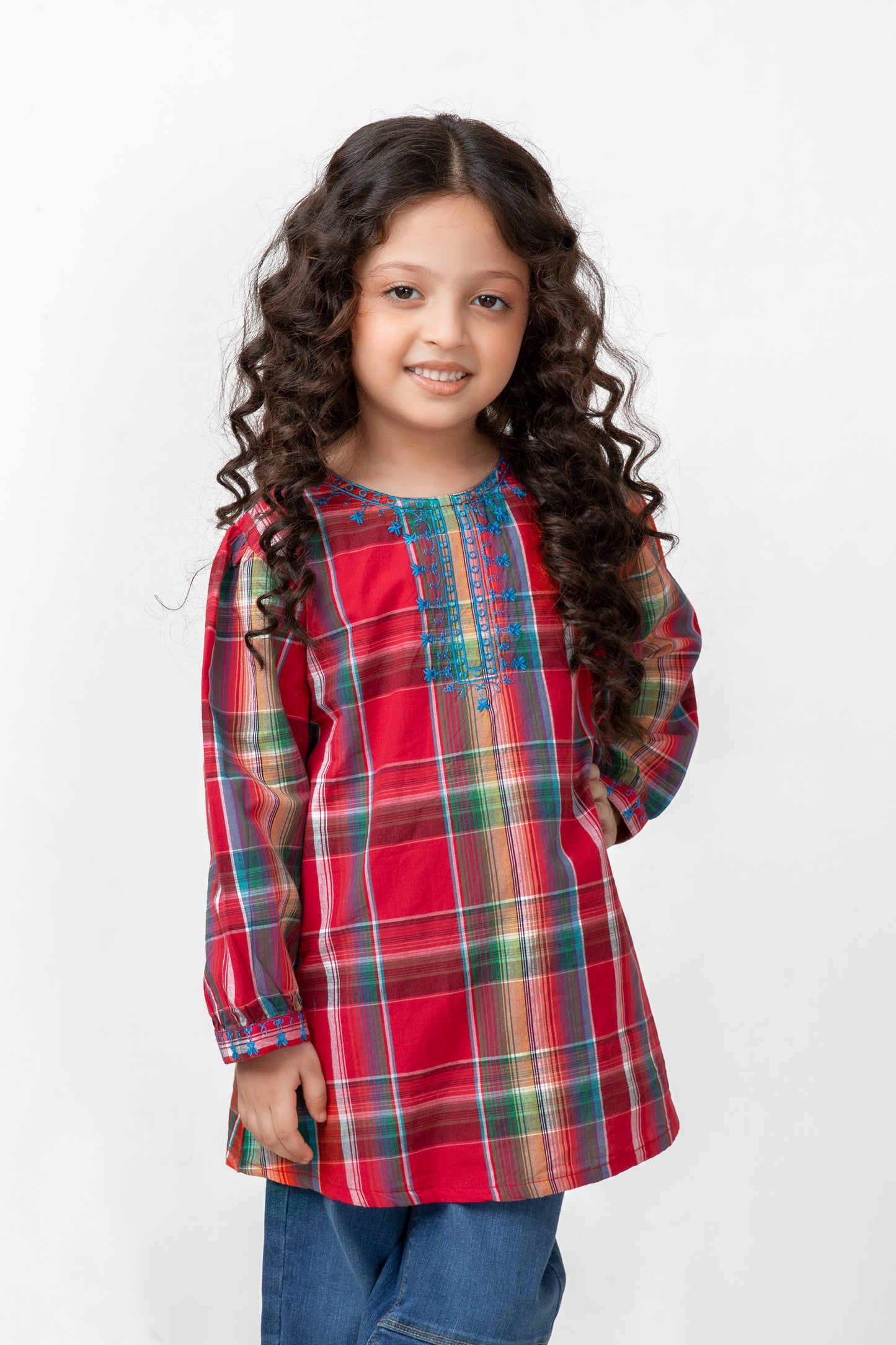 Red Plaid Embroidered Top
