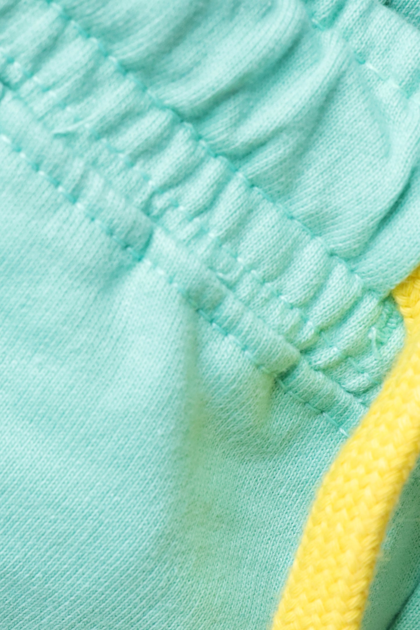 Triple Tone Shorts