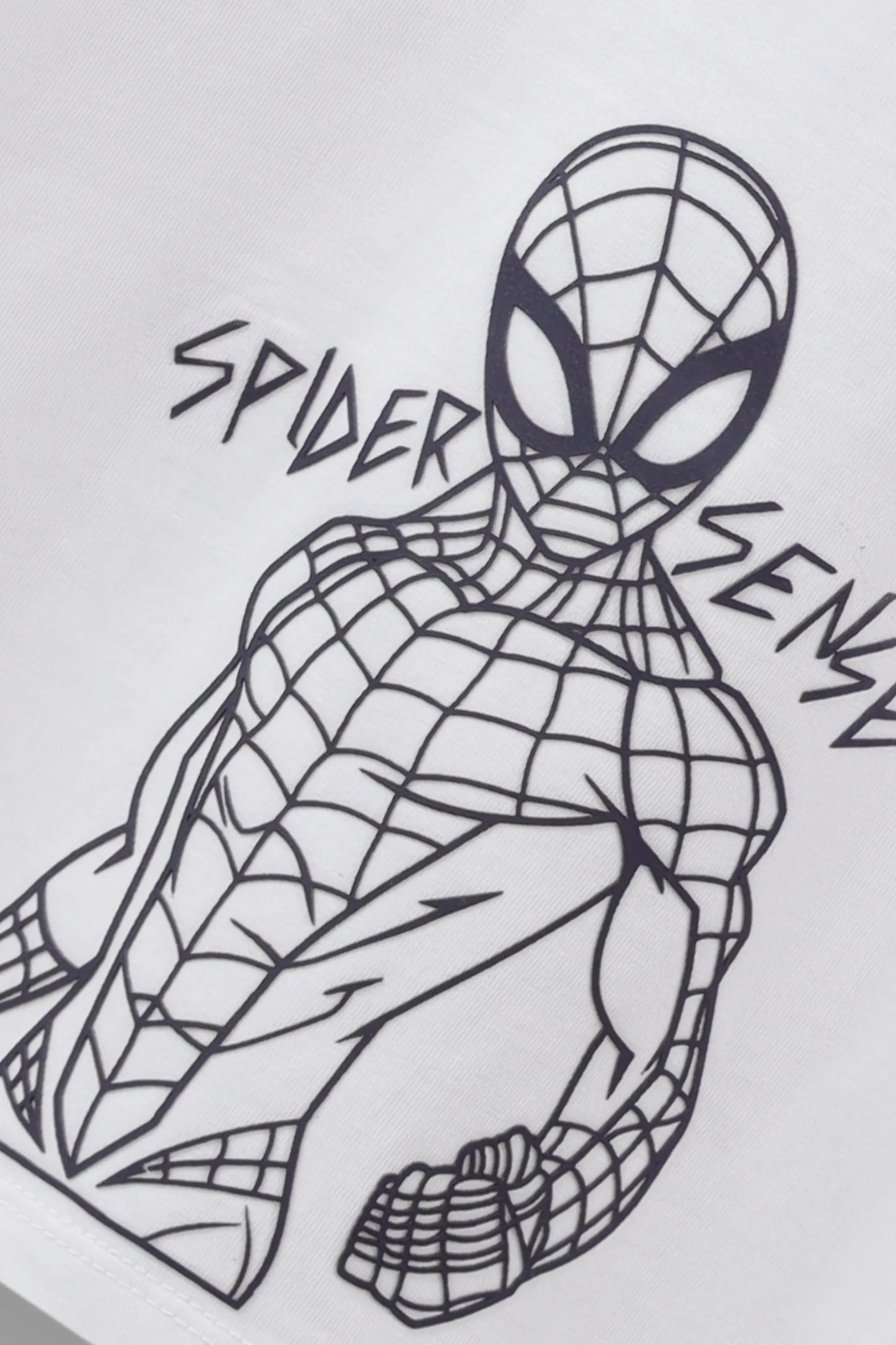Spiderman Boxy Tee