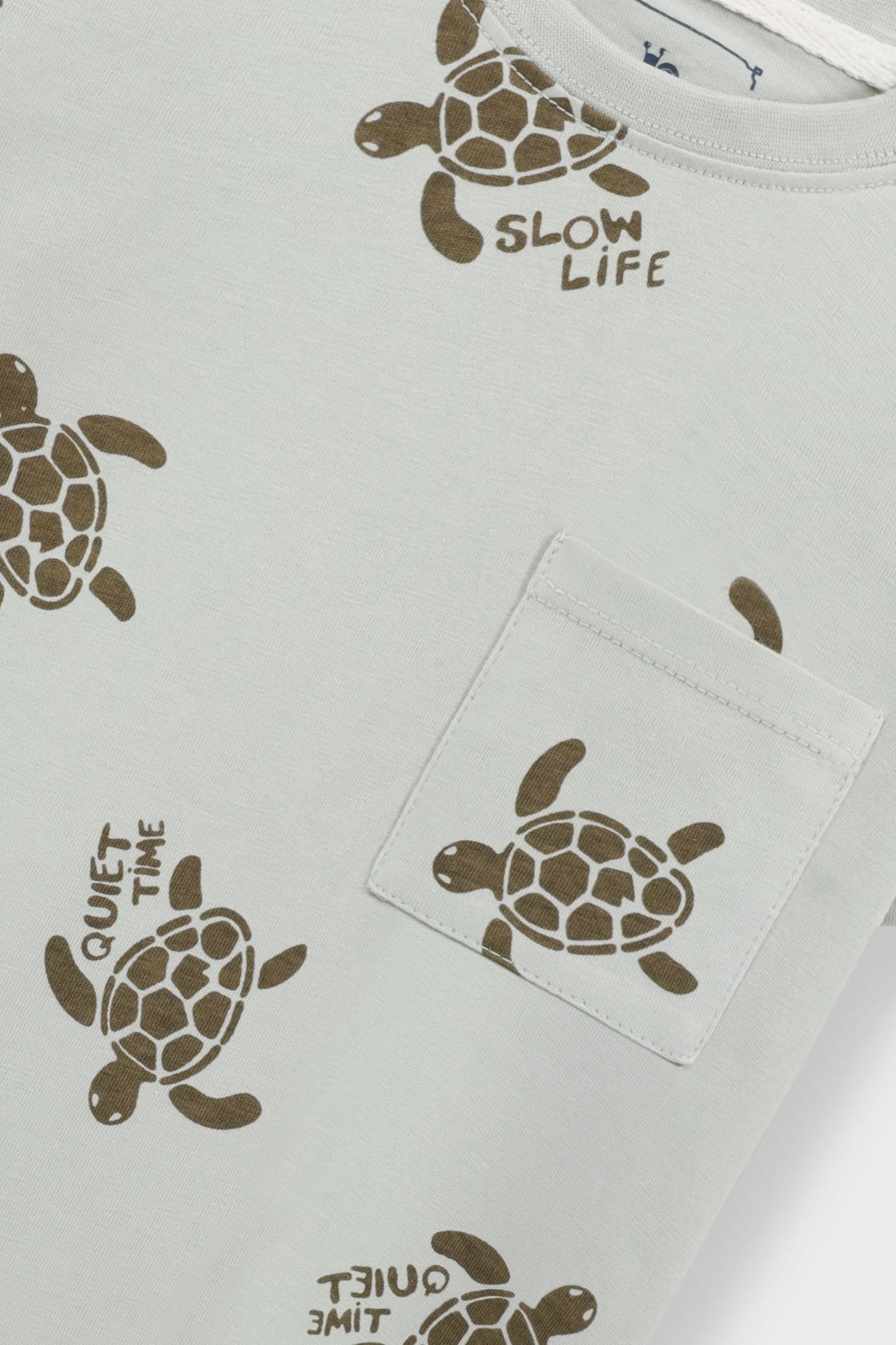 Boys Sage Turtle Drop Tee