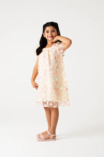 Blush Blossom Net Dress