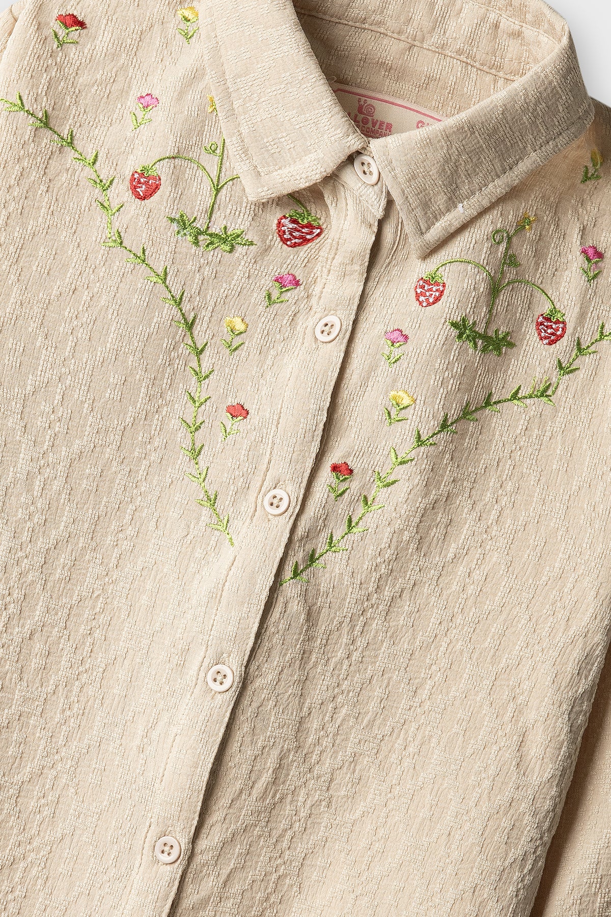 Beige Blossom Embroidered Top