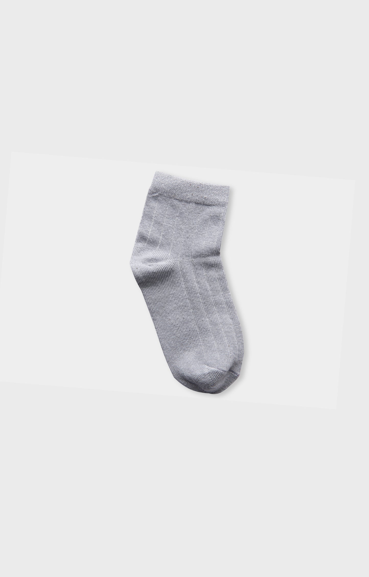Boys Multicoloured Socks (2 Pairs)