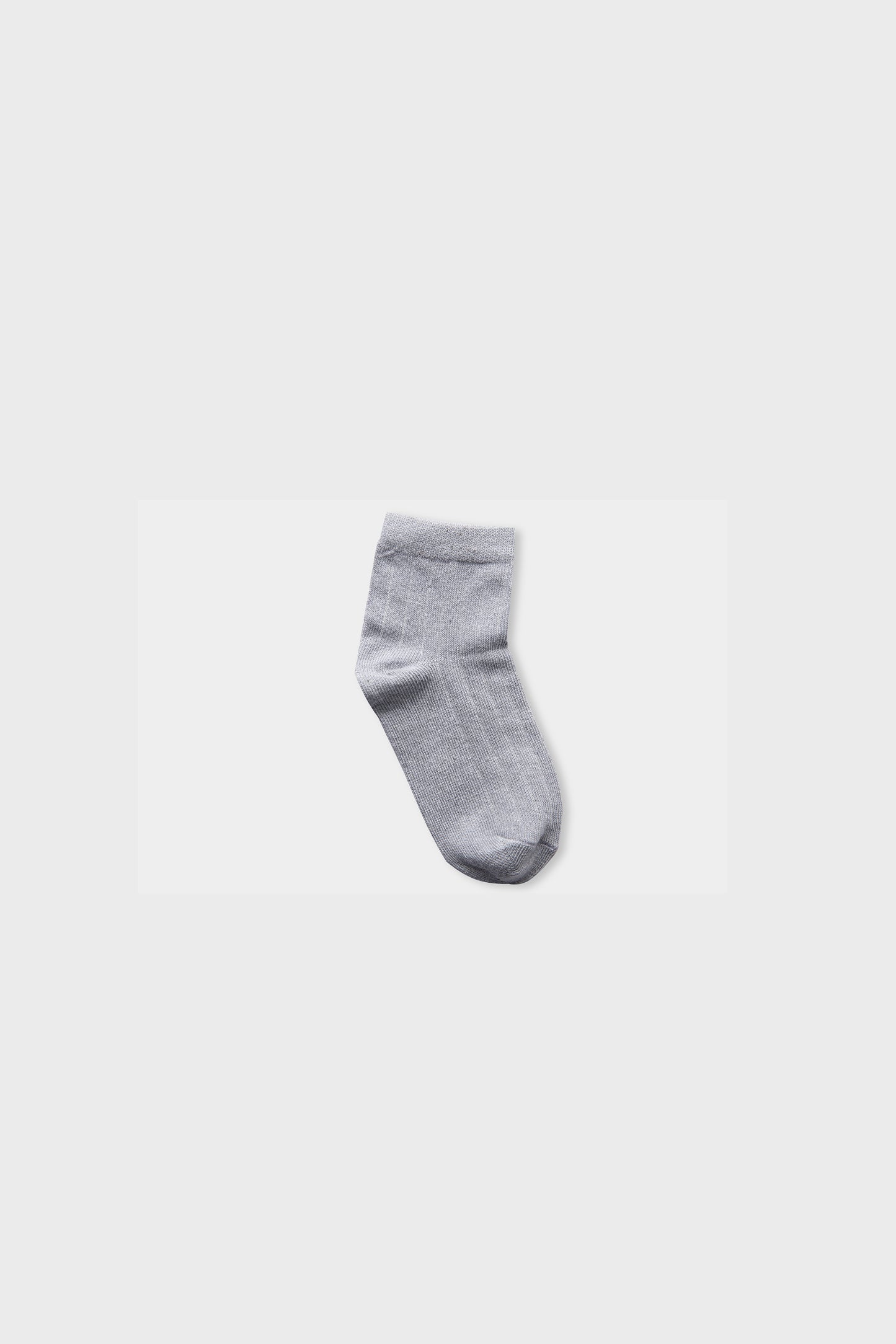 Boys Multicoloured Socks (2 Pairs)