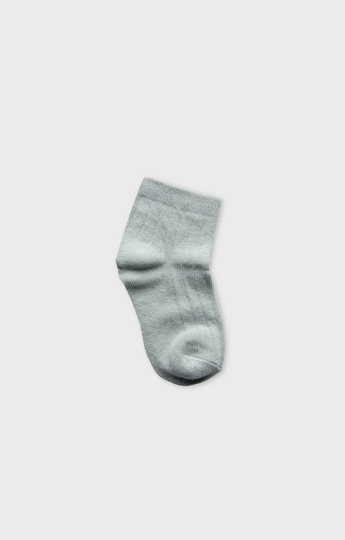 Boys Multicoloured Socks (2 Pairs)