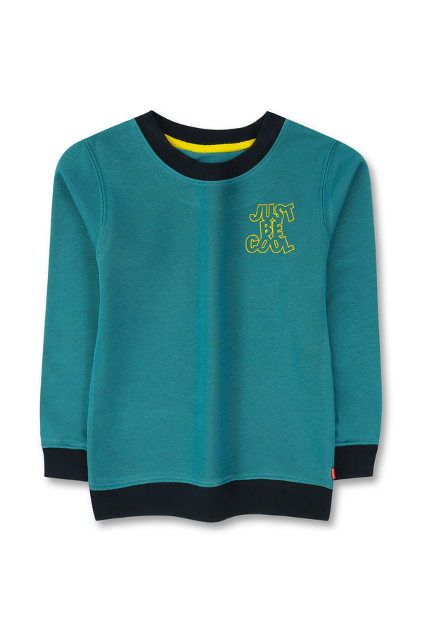 Boys Teal Sweatshirt