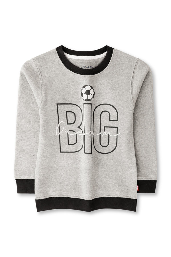 Boys Grey Printed Sweatshirt