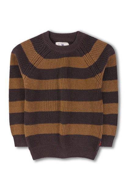 Boys Brown Striped Sweater