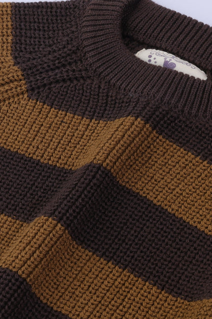 Boys Brown Striped Sweater