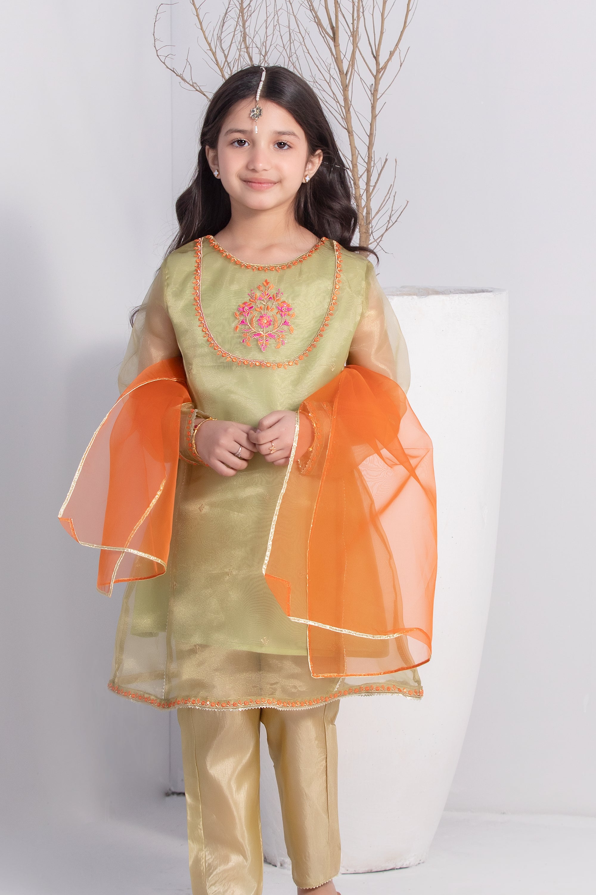 Girls Pistachio Fancy Embroidered Dress