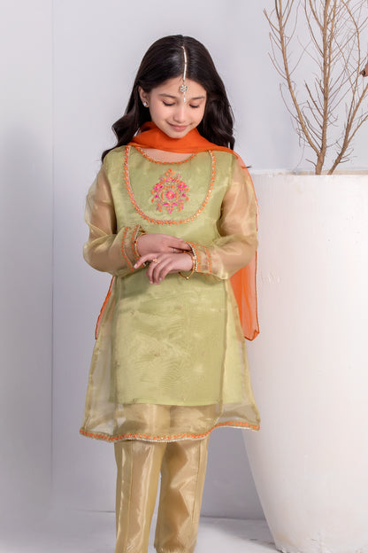 Girls Pistachio Fancy Embroidered Dress