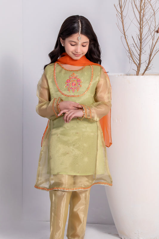 Girls Pistachio Fancy Embroidered Dress