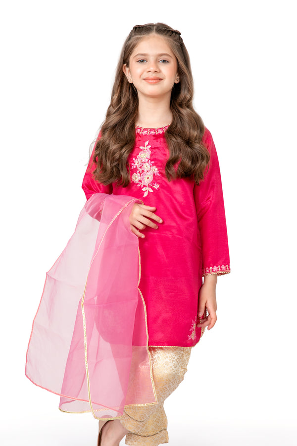 Girls Fuchsia Pink Fancy Embroidered Dress