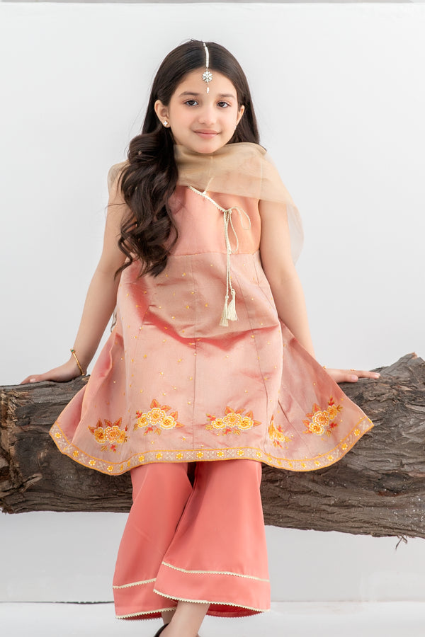 Girls Golden Fancy Embroidered Dress