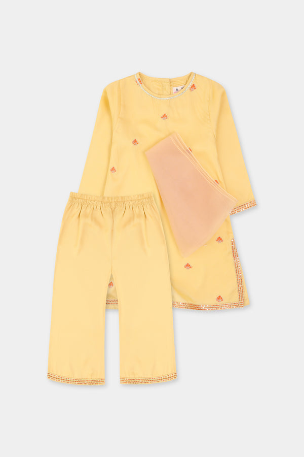 Yellow Embroidered Kurta Set - 3pc