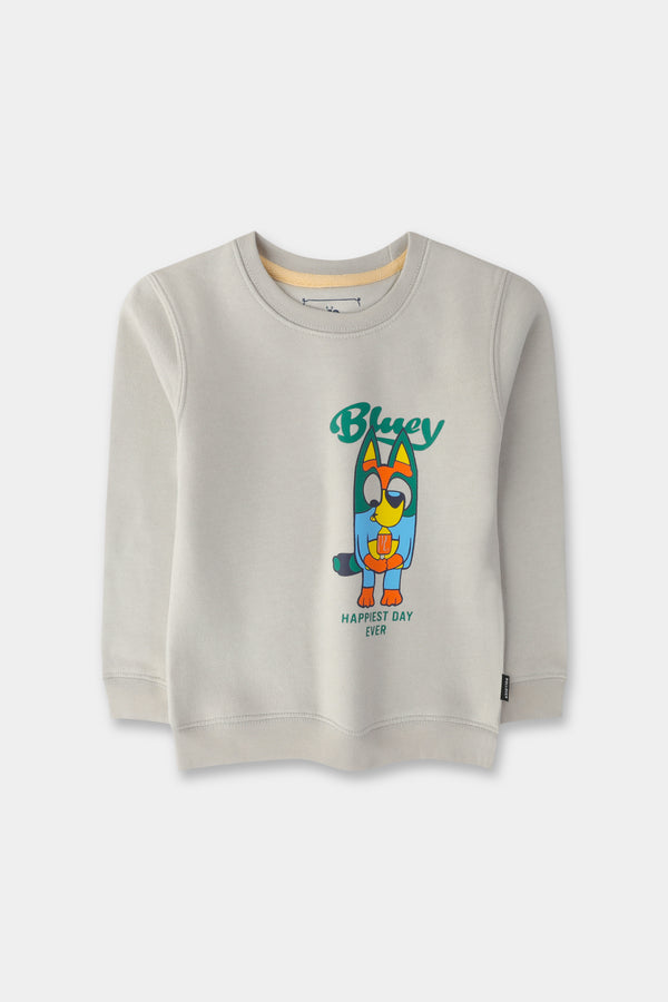 Boys' Steel Grey Graphic Fleece Sweatshirt