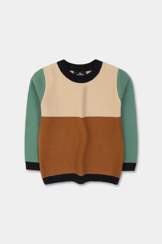 Boys Rustic Charm Colorblock Sweater