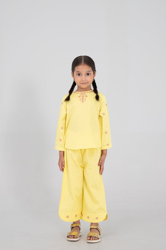 Yellow Emboidered Cotton Co-ord Set