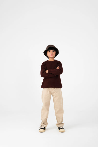 Boys Solid Brown Sweater