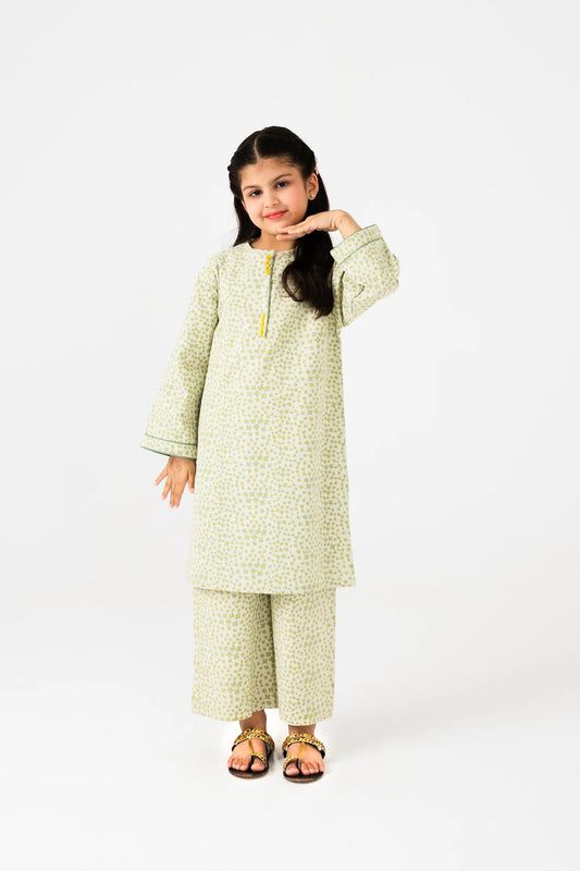 Soft Green Printed Cotton Kurta Set - 2pc