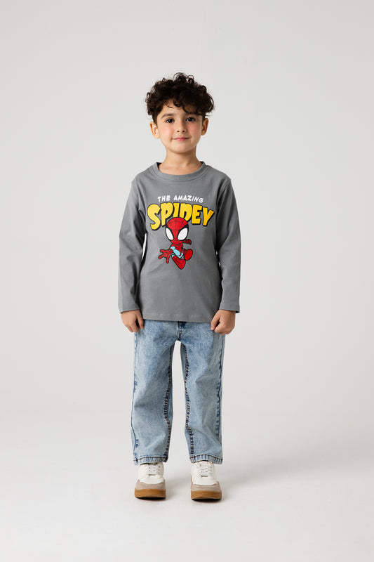 Boys Spidey Grey Hero Tee