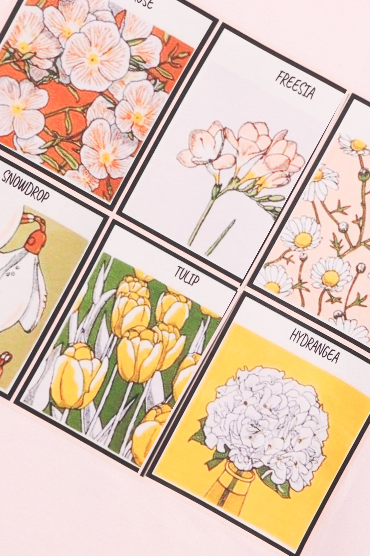 Girls Floral Frames Drop Tee