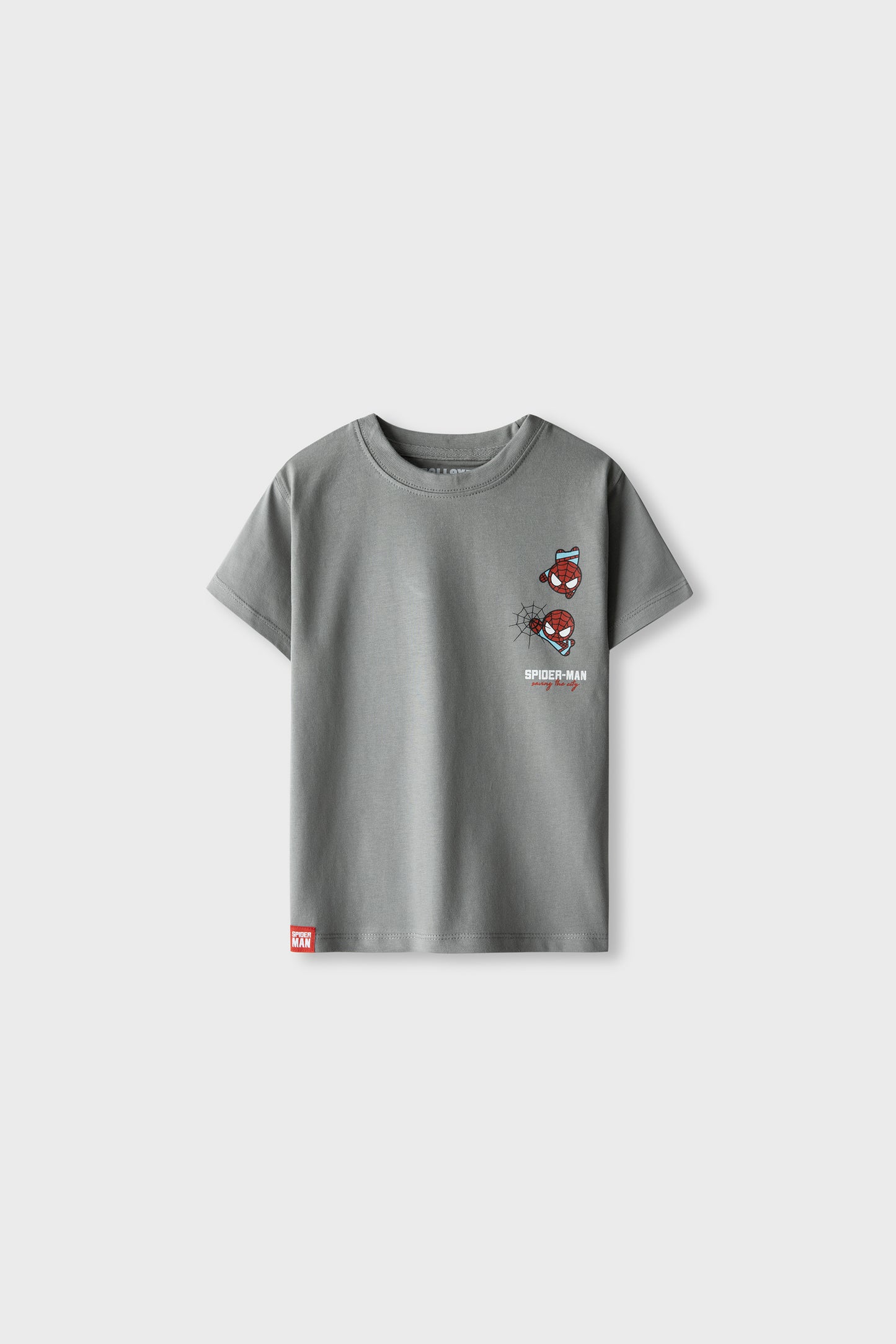 Boys Action Spider Grey Tee