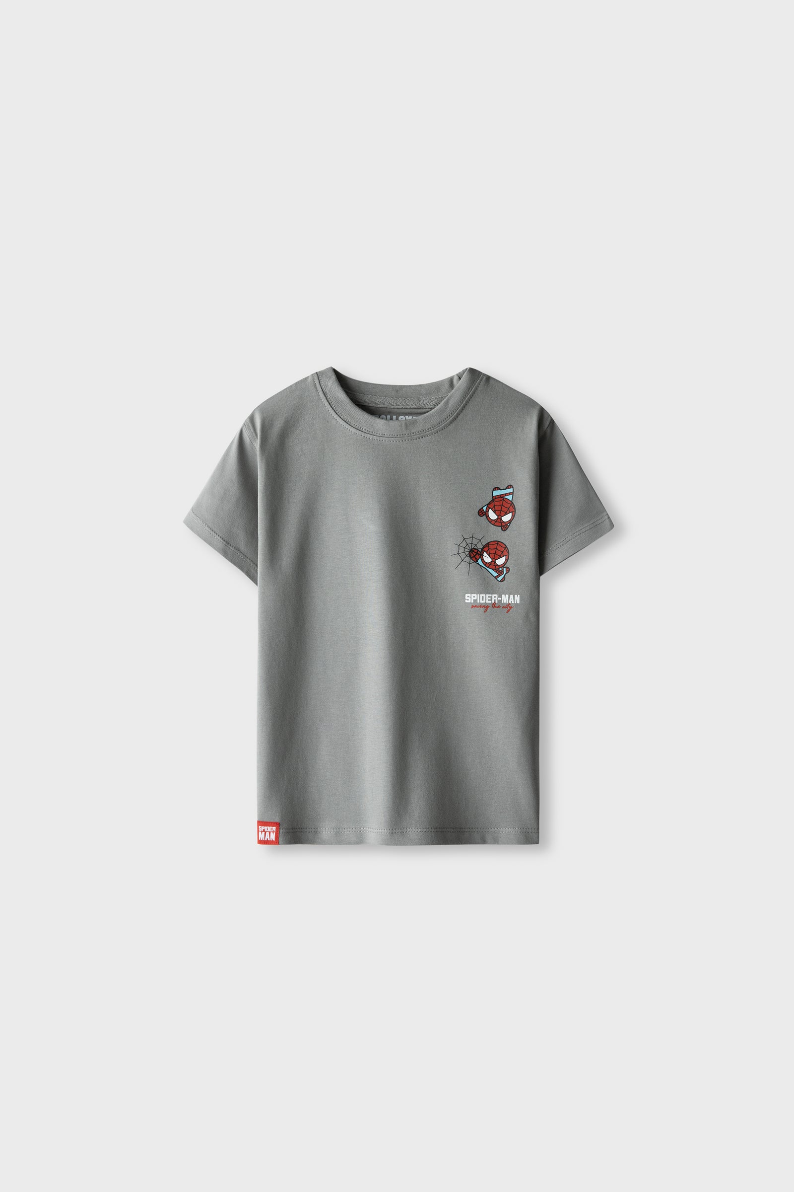 Boys Action Spider Grey Tee