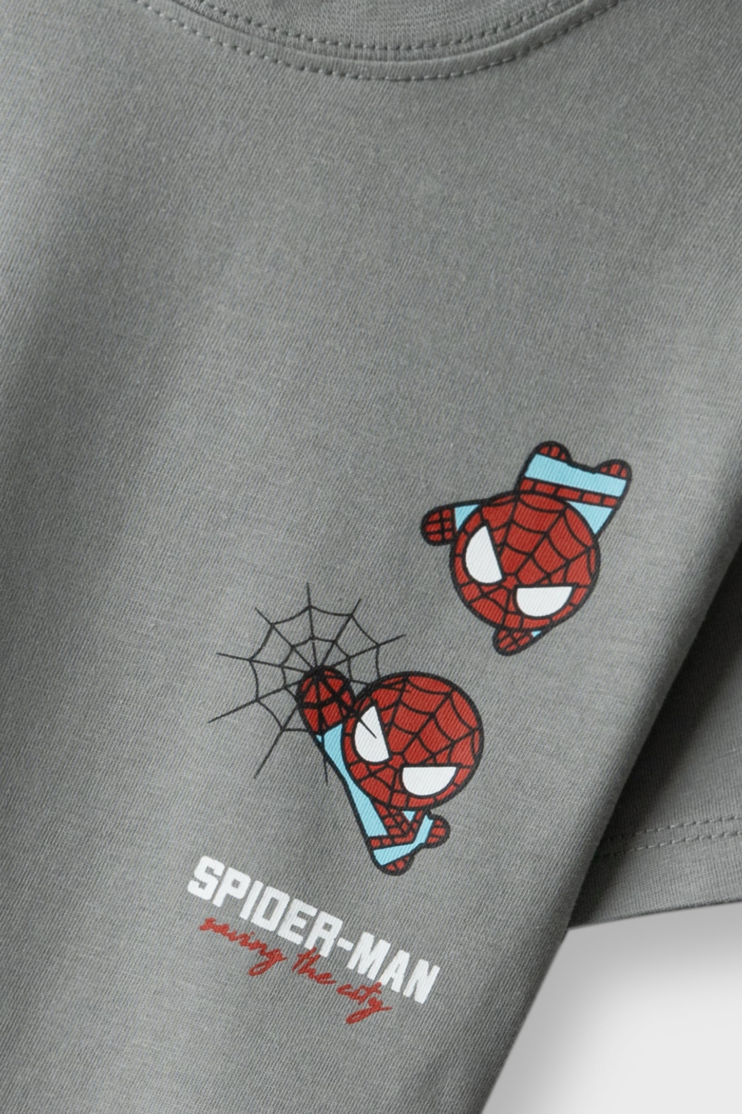 Boys Action Spider Grey Tee