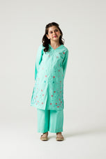 Light Green Delicate Embroidered Kurta Set - 2pc