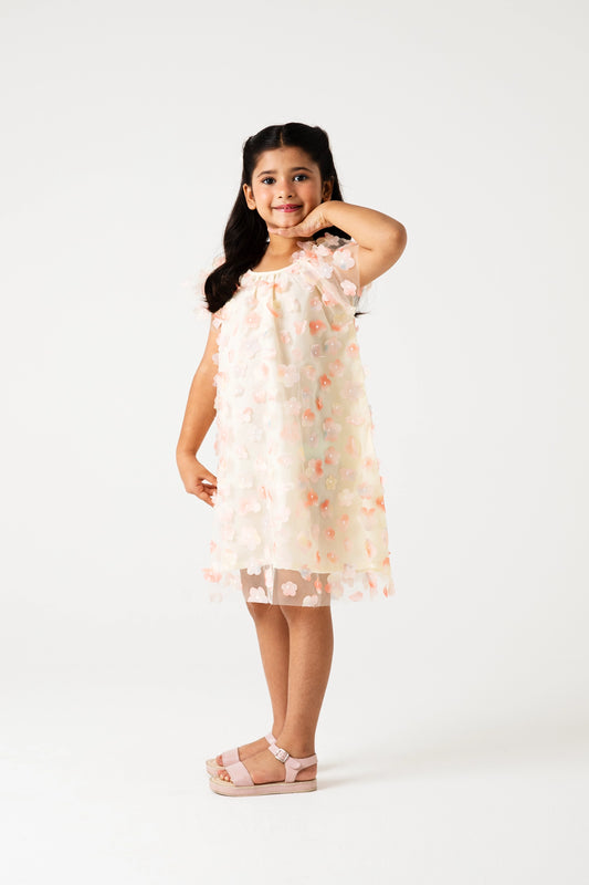 Blush Blossom Net Dress