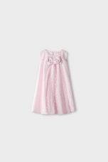 Blush Sparkle Net Dress