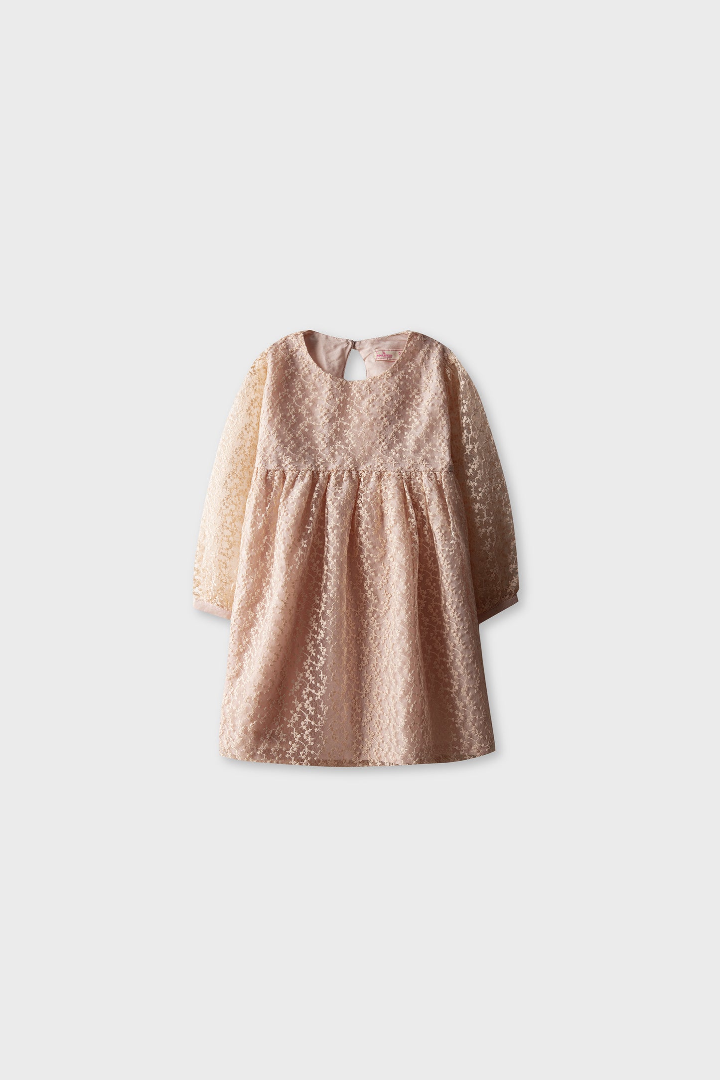 Peach Petal Yoke Net Dress