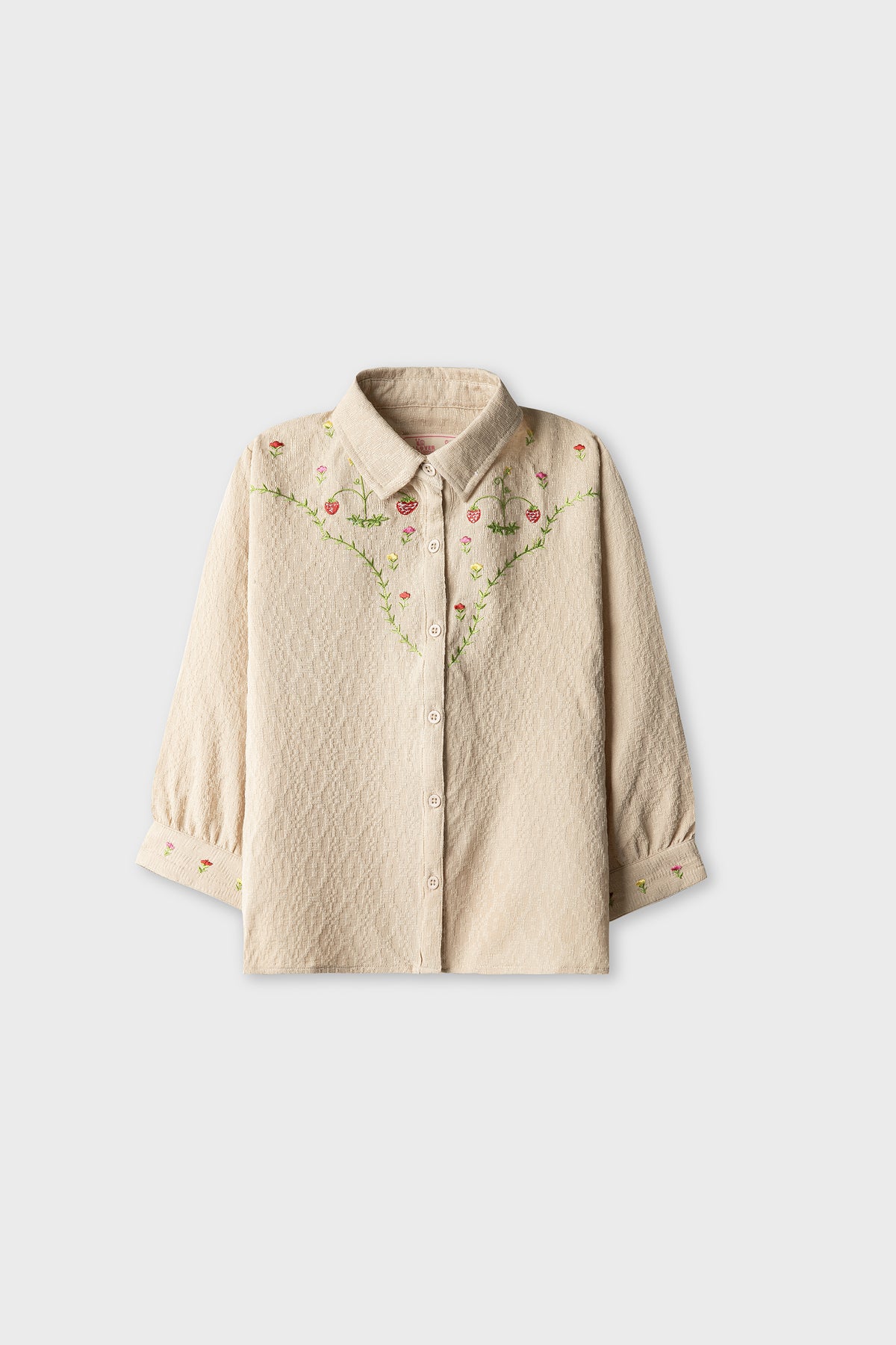 Beige Blossom Embroidered Top